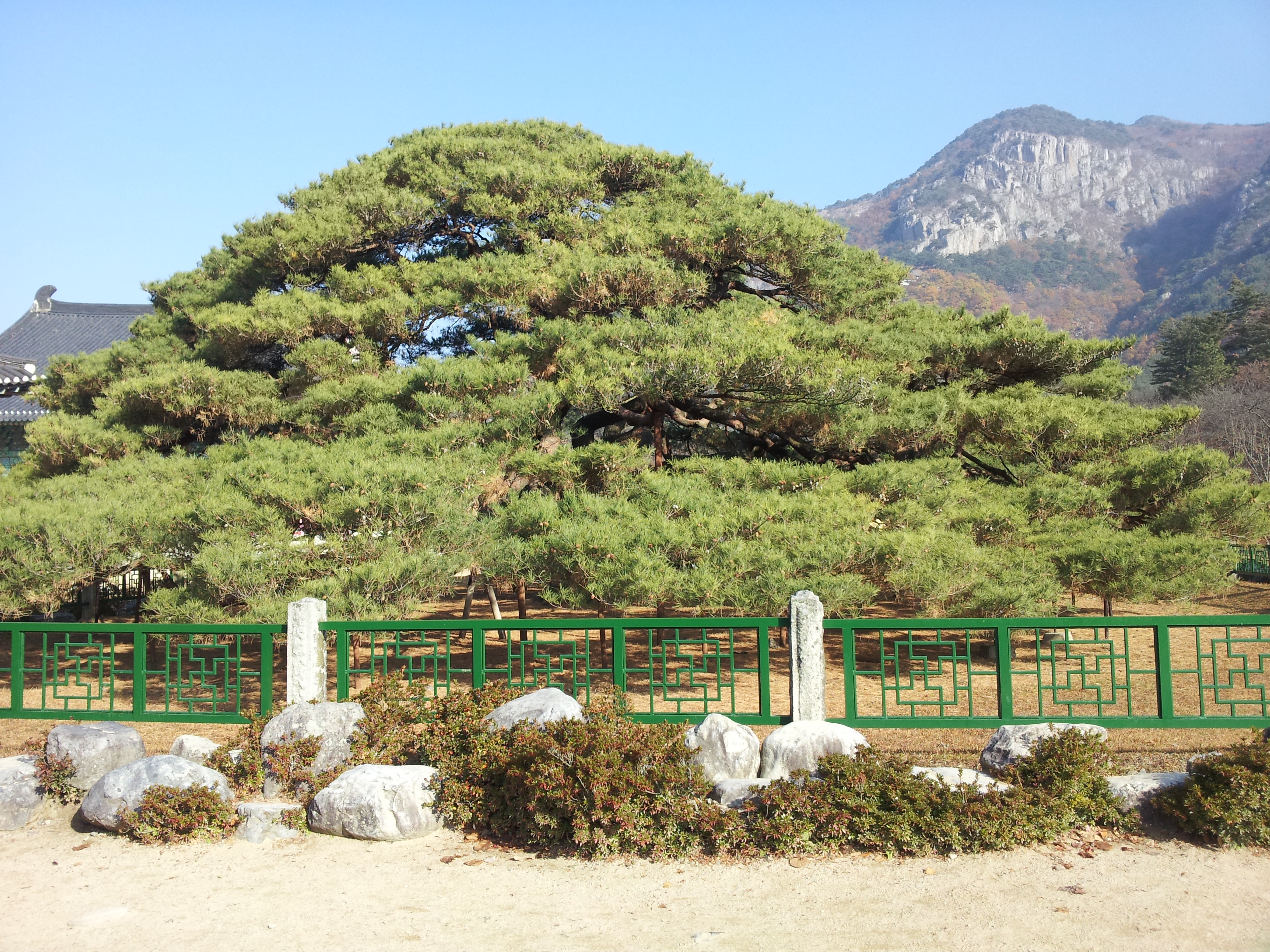 1531146315_myphoto_1151231111_0031.jpg 1531146315_myphoto_1151231111_0031.jpg